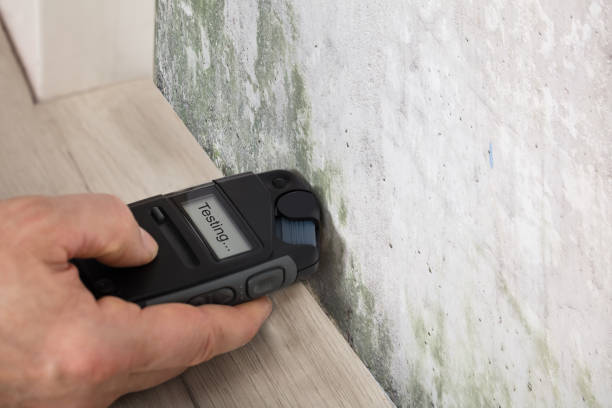 Moisture meter reading taken on a damaged wall in Pacific Palisades